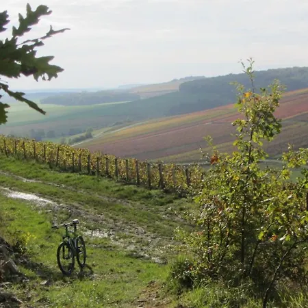Dom wakacyjny Chez La Francine *