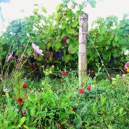 Chez La Francine * Noe-les-Mallets